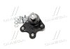 Опора кульова нижня L VW Polo 02- Polo 02-09 Fox Audi A2 00-05 Skoda Seat (вир-во) CTR CB0552L (фото 2)