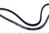 Ремень клиновий (вир-во) DAYCO 10A1150C (фото 2)