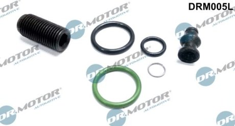 Ремкомплект форсунки 6 елементiв DR.MOTOR DRM005L