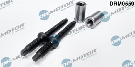 Комплект болтів двигуна з фігурною головкою DR.MOTOR DRM0559