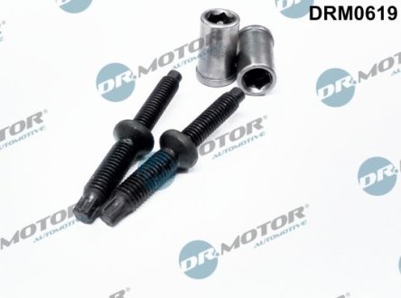 Комплект болтів двигуна з фігурною головкою DR.MOTOR DRM0619