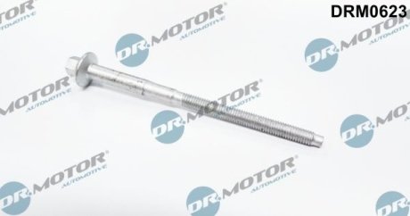 Болт з фігурною головкою DR.MOTOR DRM0623