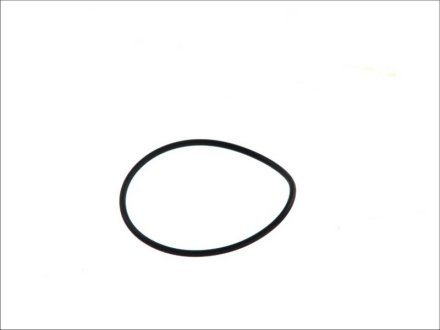 Ущільнювальне кольцо DT 5.41034 (фото 1)