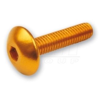 Гвинти золоті M5x20 ELIT MO TA520OR