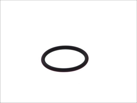 Уплотняющее кольцо ELRING 390.490 (фото 1)