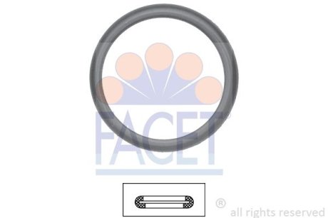 Уплотнительное кольцо термостата Ford Tourneo connect 1.8 16v (02-13) FACET 7.9598