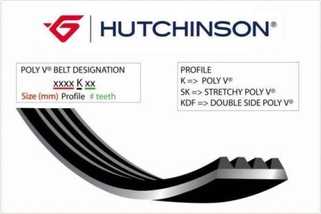 Поликлиновой ремінь Poly V® Renault Clio II, Kangoo 1,4. 1,6i (97-) HUTCHINSON 995 K 4