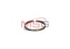 Газомасляне кольцо турбіни JRONE 2000-020-045 (фото 2)