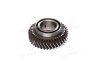 Шестерня 2-пер. валу втор. ст.зр. ГАЗ 31029,3302 до 2003 р. RIDER 31029-1701122 (фото 1)