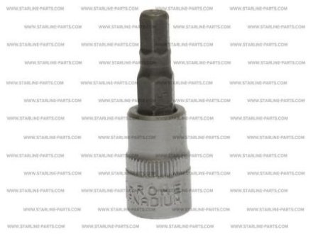 Головка з насадкою 1/4" 4mm STARLINE NR 230H04M1