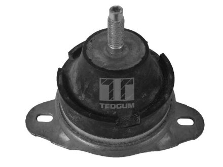 Опора двигуна Ted Gum 00514176