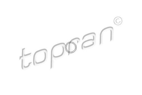 Кiльце ущiльнююче форсунки TOPRAN / HANS PRIES 100678 (фото 1)