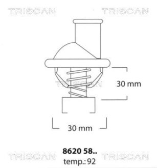 Термостат TRISCAN 8620 5892 (фото 1)