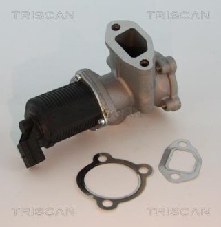 Клапан EGR FIAT 1.3JTD 04- TRISCAN 8813 10003 (фото 1)