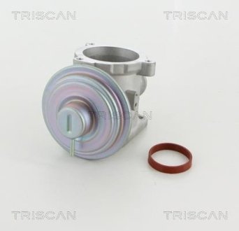 Клапан рециркуляції відпрацьованих газів BMW 1/3/5/7 2.0-3.0D 03-12 TRISCAN 8813 11003