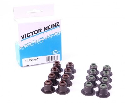 Сальники клапанів (комплект) VICTOR REINZ 123387601 (фото 1)