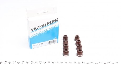 Комплект сальників клапанів VICTOR REINZ 125273301