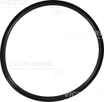 Уплотнительное кольцо VICTOR REINZ 407614900