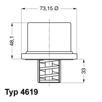 Термостат WAHLER 4619.82